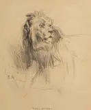 Tadeusz Styka, LEW, kredki, ołówek, papier