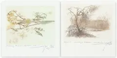 Leszek Rózga, JESIENNY BUKIET, 1986, akwaforta barwna, papier