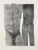 Jolanta Johnsson, Human 6, folioryt, karton