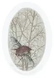 Elżbieta Bocianowska, Wzlot, akwaforta, papier