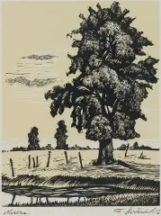 Tadeusz Dworzański, NIZINA, 1956, drzeworyt, papier