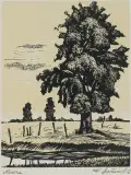 Tadeusz Dworzański, NIZINA, 1956, drzeworyt, papier
