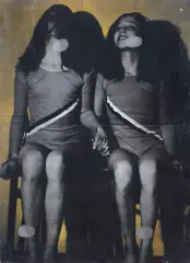 Izabela Gustowska, WZGLĘDNE CECHY PODOBIEŃSTWA XII, 1980, autooffset, papier