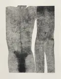 Jolanta Johnsson, Human 6