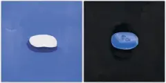 Dyptyk: MYDŁO by Rafał Bujnowski, 2000, olej, płótno, offered Mar 2020
