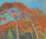 Leon Wyczółkowski, SOSNY W POŁĄDZE, 1908, pastel, papier naklejony na tekturę