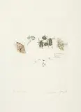 Leszek Rózga, ULOTNE CHWILE, 1973, akwaforta barwna, papier kremowy