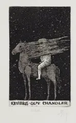 EXLIBRIS OLIV CHANDLER by Stasys Eidrigevičius, LATA 80. XX w., akwaforta, akwatinta, papier, offered Sep 2019