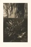 Piotr Ciesielski, DWUDZIESTE PIĄTE URODZINY!, 1981, akwaforta, akwatinta, papier