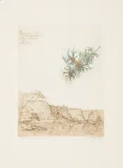 POČITELJ by Leszek Rózga, 1973, akwaforta barwna, papier kremowy, sold May 2019