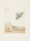 Leszek Rózga, POČITELJ, 1973, akwaforta barwna, papier kremowy