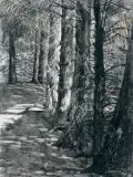 Leon Wyczółkowski, ŚCIEŻKA W PARKU W GOŚCIERADZU, 1927, tusz, akwarela, kredka, technika drapana, karton