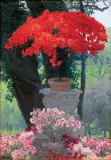 Edward Okuń, Villa Borghese. Giardino del Lago