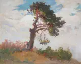 Iwan Trusz, SOSNA, 1927, olej, tektura