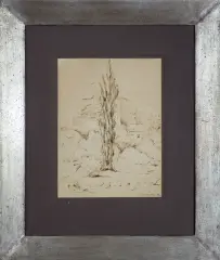 Jan Hrynkowski, PLANTY, 1938, tusz pióro, papier