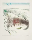 Leszek Rózga, PEJZAŻ MAJOWY Z KRZEWINĄ, 1982, akwaforta kolorowana, papier