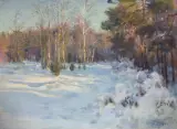 Teodor Ziomek, LAS W ŚNIEGU