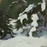 Stanisław Straszkiewicz, Okiść na świerkach. Świerki zimą, olej, tektura