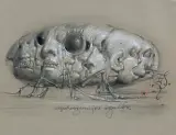 WSZECHOGARNIAJĄCE WSZECHZŁO by Franciszek Starowieyski, 2004, pastel, papier, sold Oct 2018