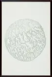 Jan Dobkowski, Z CYKLU GENESIS, 1999, ołówek, papier