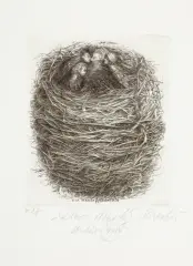 Krzysztof Witold Skórczewski, DLA MAGDY, 1989, miedzioryt, papier