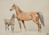 KLACZ ZE ŹREBIĘCIEM by Juliusz Kossak, akwarela, papier, offered Jun 2018