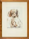 Janusz Grabiański, Jamnik, tusz pióro, pastel, gwasz, papier