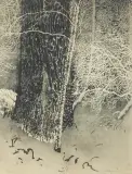 Leon Wyczółkowski, SĘDZIELINA, 1924, litografia, tusz, prósz,