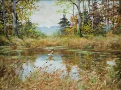 KACZKI NAD LEŚNYM STAWEM by Georg (George) Majewicz, olej, płótno, offered Mar 2018