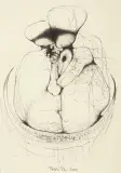 Zdzisław Beksiński, BEZ TYTUŁU