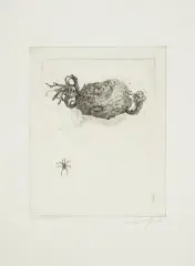 Pajączek by Leszek Rózga, 1973, akwaforta, papier kremowy, offered Dec 2017