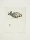 Leszek Rózga, Pajączek, 1973, akwaforta, papier kremowy