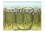 Farma na Antypodach by Jacek Yerka, kredki, ołówek, karton, sold Dec 2017