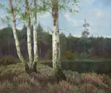 Józef Rapacki, BRZOZY I WRZOSY NAD STAWEM