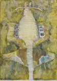 Jan Lebensztejn, FIGURA OSIOWA, 1962, akwarela, kredka, ołówek, papier