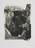 Piotr Ciesielski, MARTWA NATURA, 1982, akwaforta, mezzotinta, papier kremowy