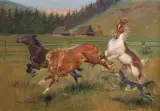 Jerzy Kossak, KONIE NA GÓRSKIEJ POLANIE