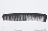 Rafał Bujnowski, GRZEBIEŃ