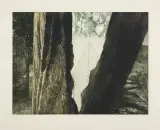 Piotr Ciesielski, EPITAFIUM I, 1981, akwaforta, akwatinta, papier