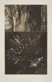 Piotr Ciesielski, 25 URODZINY, 1981, akwaforta, akwatinta, odprysk, papier