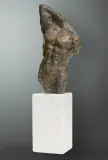 Waldemar Mazurek, TORS