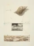 Leszek Rózga, FRYZJA, 1975, akwaforta z dwóch płyt, kredka, ołówek, papier