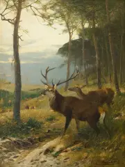 Christian Kröner, JELEŃ I ŁANIA, 1888, olej, płótno