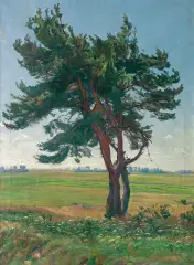 Kazimierz Lasocki, SAMOTNA SOSNA, 1927, olej, płótno