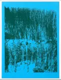 Trzciny by Jan Tarasin, 1990, serigrafia, papier, sold Mar 2017