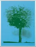 Drzewo by Jan Tarasin, 1990, serigrafia, papier, sold Mar 2017