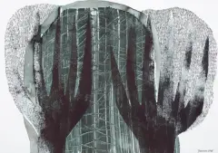 Jolanta Johnsson, Z CYKLU: PEJZAŻE II, 2015, technika własna, papier