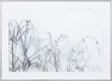 Ryszard Łagodziec, DRZEWA, 2016, ołówek, papier
