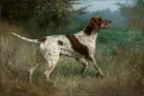 WYŻEŁ by Aleksandr Nikołajewicz Stiepanow, 1908, olej, płótno, sold Dec 2016