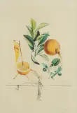 Salvador Dalí, PAMPLEMOUSSE ÉROTIQUE(GREJPFRUT EROTYCZNY),1969/7
